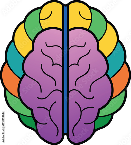 Colorful brain with purple pink orange yellow green and blue sections vector illustration EPS PNG file