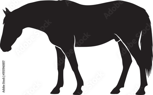 A clean black silhouette of a horse in a standing profile view. This minimalist animal graphic is ideal for equestrian logos, farm-themed designs, and nature illustrations.