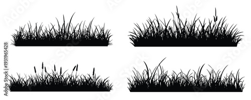 Wheat and wild grass grain silhouette horizontal banner vector field art