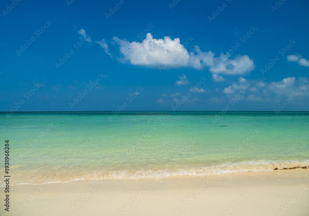 Fototapeta premium Peaceful panorama tropical sea beach with gentle waves rolling onto golden sand under bright blue sky with fluffy white clouds. relaxing summer scene perfect scene for travel holliday and nature lover