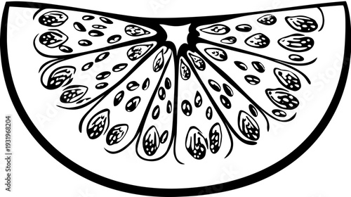 A black and white illustrated wedge, showing the inside of a cut fruit