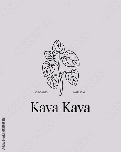 Kava Kava Organic Herbal Logo – Natural Botanical Line Art Illustration