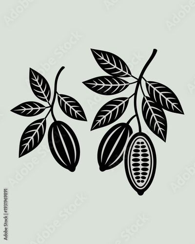Cacao Pod Botanical Silhouette – Vintage Cocoa Plant Vector Illustration