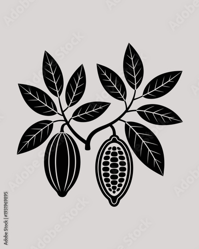 Cacao Pod Botanical Silhouette – Vintage Cocoa Plant Vector Illustration