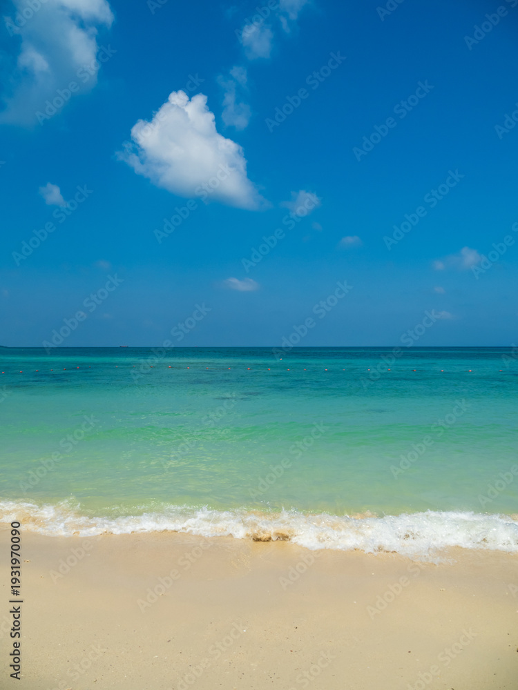 Fototapeta premium Peaceful vertical tropical sea beach with gentle waves rolling onto golden sand under bright blue sky with fluffy white clouds. relaxing summer scene perfect scene for travel holliday and nature lover