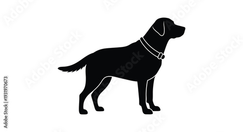 Black labrador retriever standing in profile a striking silhouette high quality
