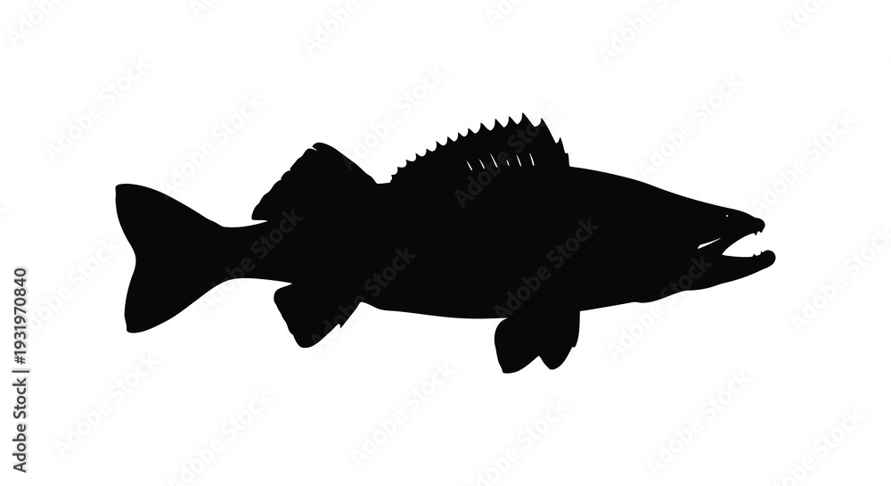 Fototapeta premium Black silhouette of a largemouth bass detailed fish and form silhouette