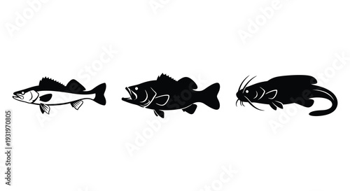 Four fish designs in a row depicted as a striking black silhouette