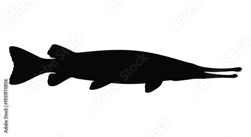 Black silhouette of a long salmon fish with a distinctive snout silhouette