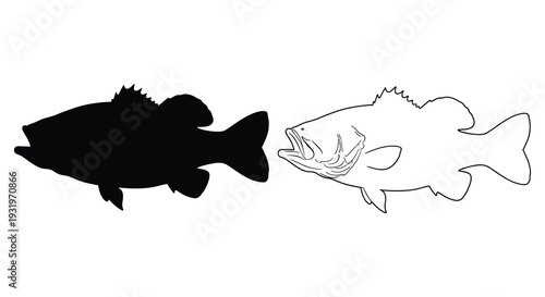 Black and white illustration of a largemouth bass showing a detailed silhouette