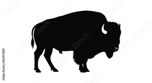 Black bison stands in profile a striking animal silhouette high quality
