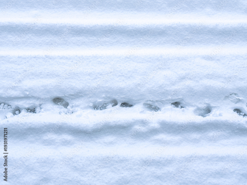 Obraz premium Fresh snow with animal and human footprints creating patterns