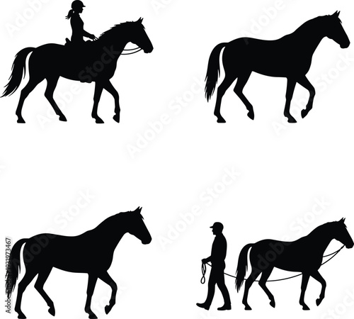Black silhouette collection of horses with riders and handlers walking isolated on white background for equestrian sports and farm design,