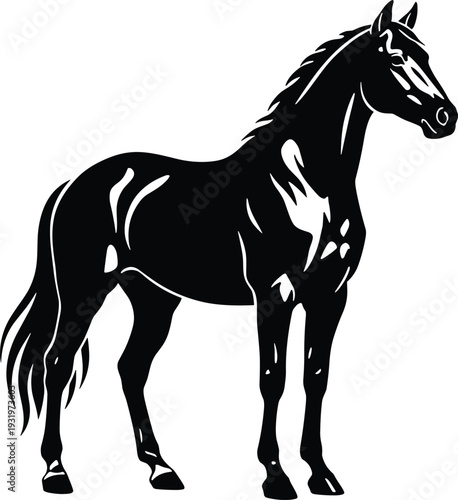 Black silhouette of a majestic standing horse with detailed mane and tail isolated on white background for equestrian and farm design,