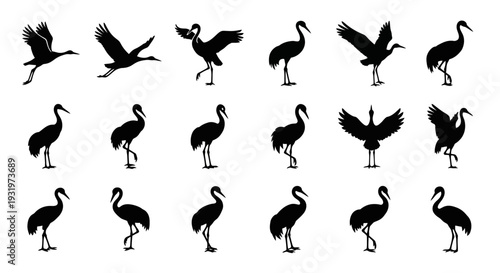 Collection of Flamingo Silhouettes in Various Poses and Flight Positions