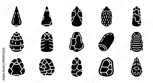 Collection of Various Pine Cones and Seed Pods Illustrated in Black and White