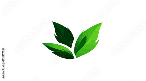 A vibrant, abstract illustration featuring three stylized leaves in varying shades of green, centered
