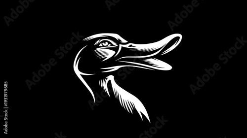 Graphic black and white illustration of a duck's head, showing detail