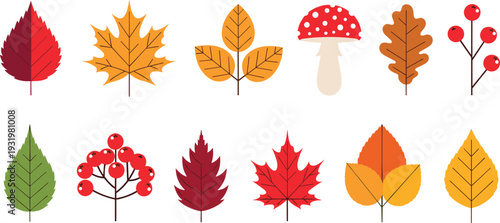 Flat Vector Illustration of Autumn Leaves, Mushrooms and Berries Set, Colorful Fall Nature Elements Isolated on White Background.
