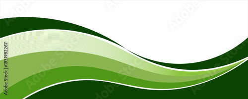 Abstract green wave background, Vector green line background curve element with white space for text and message design, overlapping layers.