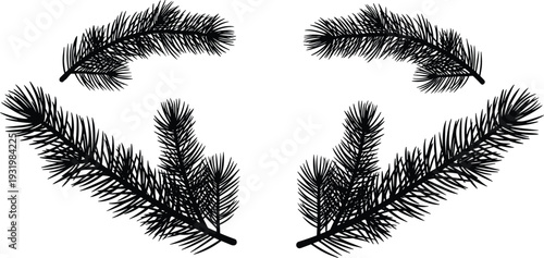 Flat vector illustration of symmetrical pine tree branches arrangement, detailed evergreen needles design, natural botanical decorative elements for seasonal artwork