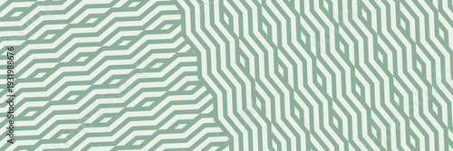 farm green banner, organic abstract background with fields. wavy green lines, natural organic products. vector ilustration