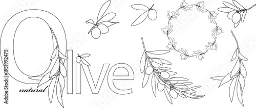 Set of olive branches in line art style with a round frame and logo