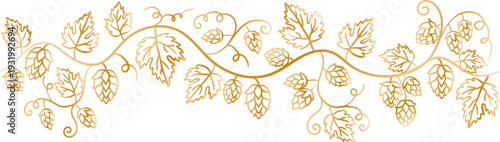 hand drawn golden hop plant border with beer cones and leaves floral vine decorative divider for craft brewery branding