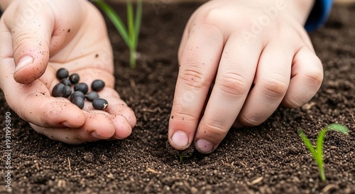 Hands planting seeds in fertile soil for gardening