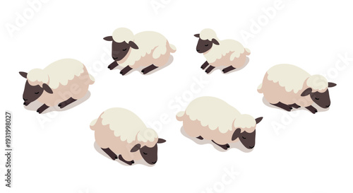 Isometric cute sheep resting in various poses on a white background