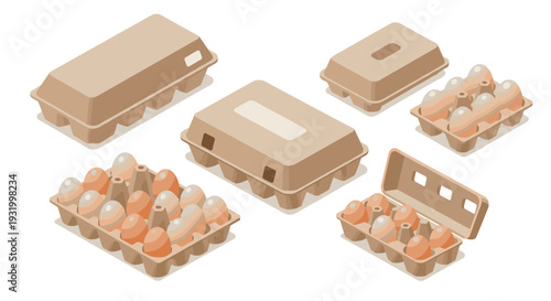 Isometric egg carton set: various angles and styles of packaging