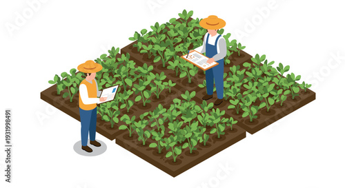 Isometric farm scene with farmers using technology in crops field