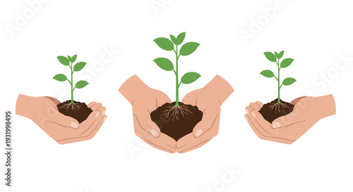 Growth and nurturing: hands holding seedlings on white background