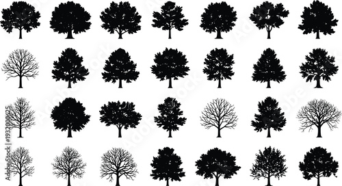 Large collection of black tree silhouettes featuring various species like leafy oaks, symmetrical maples, bare winter branches, and dense forest pines isolated on white background