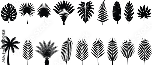 Large collection of black tropical leaf silhouettes and palm trees with monstera fern and banana leaves, vector icons for summer beach and exotic nature design