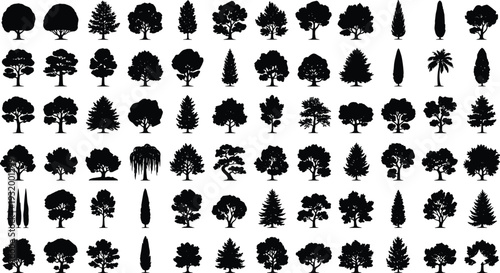 Mega collection of black tree silhouettes featuring various species like oak, pine, willow, and maple with detailed branches and roots isolated on white background