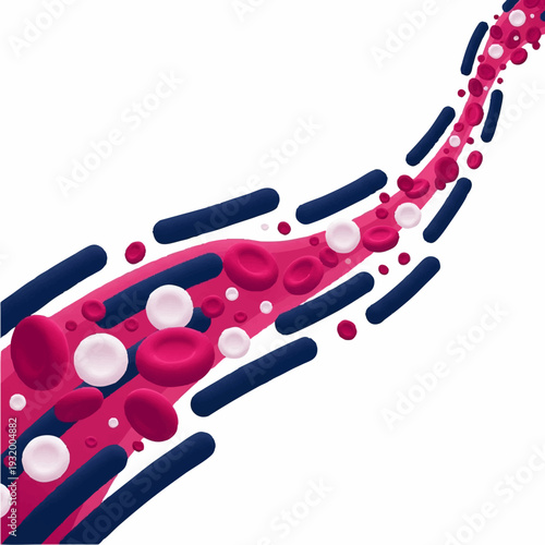 Illustration of blood cells and bacteria flowing in a vessel.