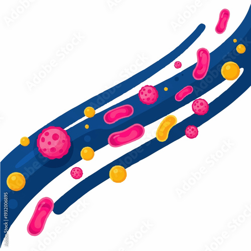 Microscopic view of blood cells and bacteria flowing in a vessel.