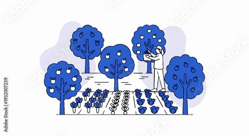 Orchard farmer harvesting ripe fruit from trees.