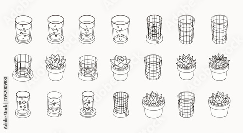 Isometric line art illustrations of various potted succulents in different modern planters and grid-patterned containers, perfect for gardening and home decor concepts.