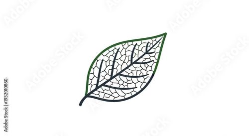 A single leaf, outlined with green and internal veins, creating a detailed pattern