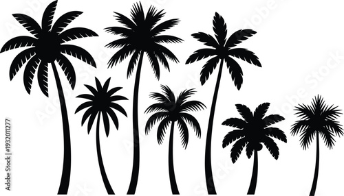 Tropical palm tree silhouette set various coconut trees isolated vector illustration beach summer island nature black collection design