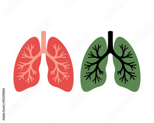An illustration of healthy and unhealthy lungs side by side for comparison