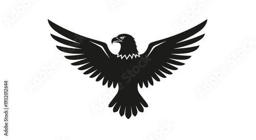 Silhouette of a soaring bird with outstretched wings in black against a stark white background