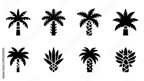 Silhouette palm tree set: tropical island nature icon collection