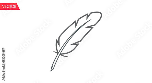 Simple gray feather icon on white background, angled slightly to the right. "VECTOR" in top left