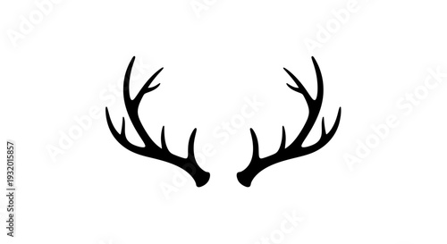 Silhouette of deer antlers on a white background. Black drawing of a pair of antlers