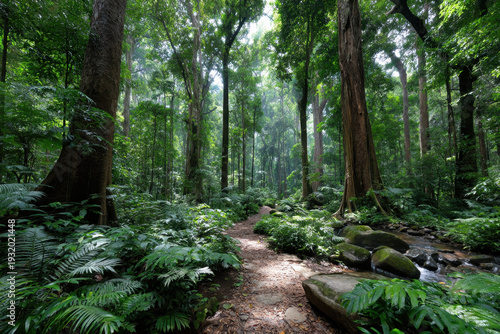Tranquil forest path with sunlit stream