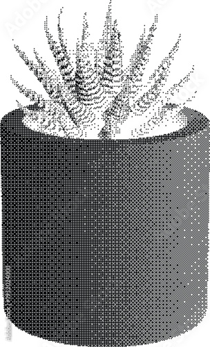 Succulent plant vector illustration potted cactus houseplant graphic design element isolated on white