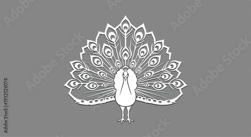 White line drawing of a peacock with spread tail feathers on a gray background.